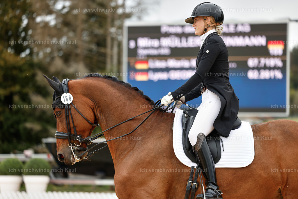 11-189-Dressur S___-StoibPH-914 | working equitationturnier fotograf videograf stoibphotography marixx film working equitation deutschland reitsport turnierfotografie eventfotografie equestrian events