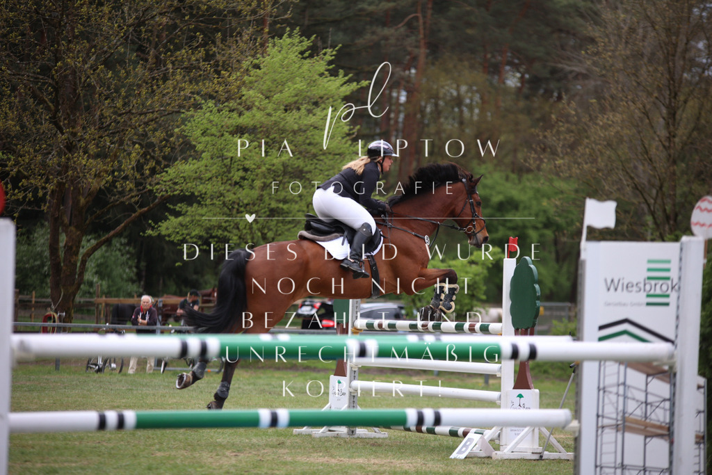 IMGT1624 | pl-fotografie