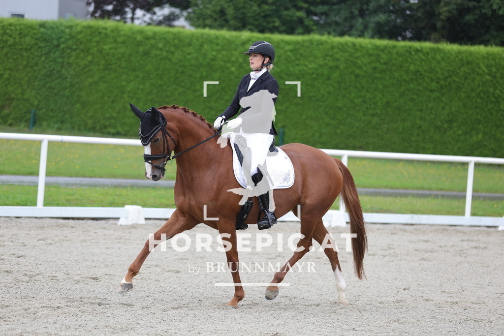 0P6A0112 | Willkommen bei Brunnmayr - Design & Fotografie – Ihrem Spezialisten für Reitturniere und Pferdeveranstaltungen in Oberösterreich, Salzburg und Bayern! Seit über 17 Jahren sind wir leidenschaftlich dabei.