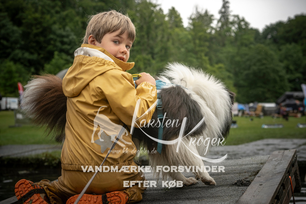 1629_ZZ97907-2 | kk-dogfotos