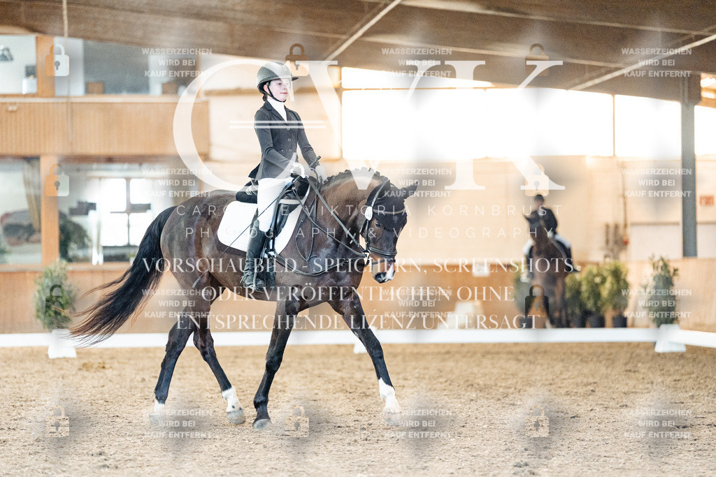 CK907138 | Turnierfotografie Pferdefotografie Trier Rheinland-Pfalz Pferdesport Reitsport Tierfotografie Sportfotografie Pferdevideo Pferdevideografie Equestrianvideography equestrianphotography  - Realisiert mit Pictrs.com