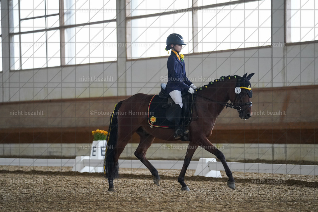 20240825-FAH09612 | Turnierbilder, Reitsportfotos, LAPO, Landesponyturnier, Turnierfotografen Bayern