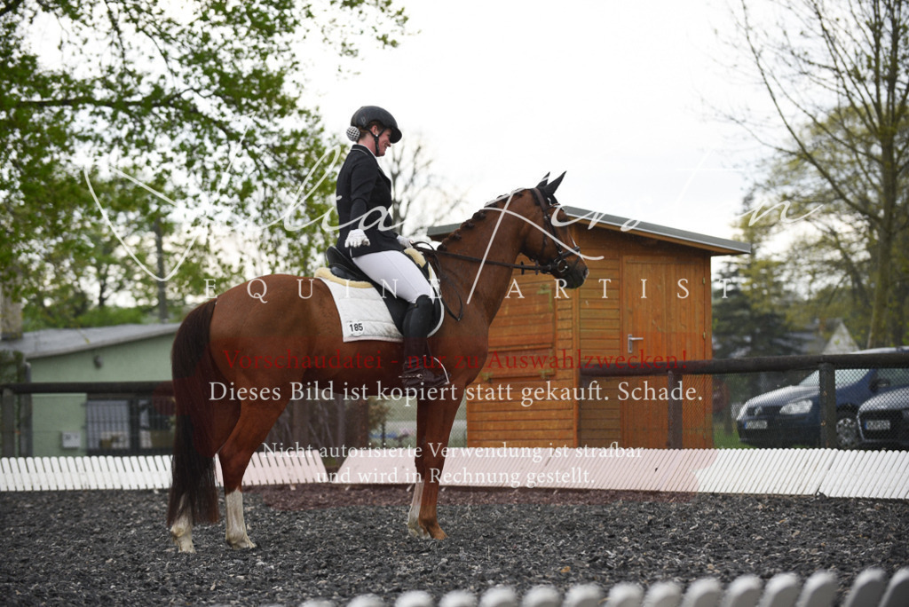 20230513_JK-Röhrsdorf-15-258 | Pferde- und Turnierfotografie in Westsachsen. Pferdeportraits, Auftragszeichnungen und intuitive Kunst.