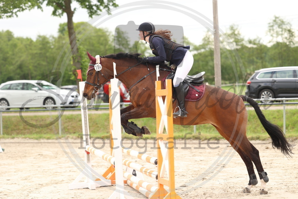 994A8892 | sabrinanicolaifotografie - Realisiert mit Pictrs.com