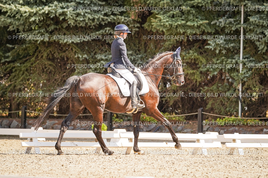 DSC00757 | Pferdegrafie