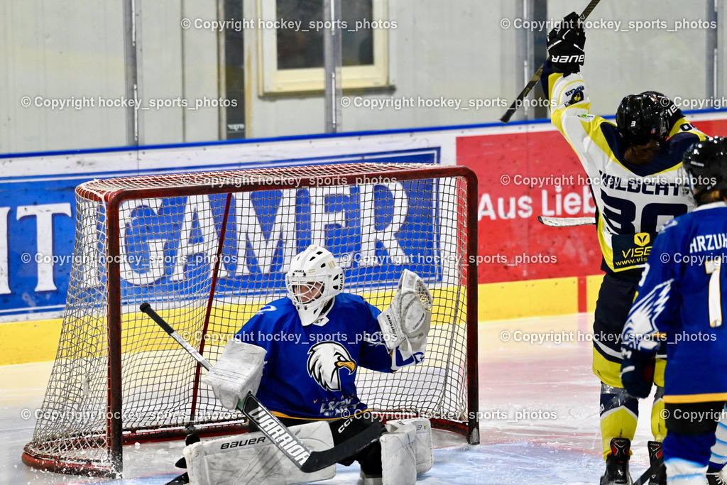 LADY HAWKS vs. WILDCATS PATERNION | Tor Wildcats Paternion, #32 Prasser Hannah Sophie LADY HAWKS, #30 Sauerbier Dana Kiara WILDCATS PATERNION, LADY HAWKS vs. WILDCATS PATERNION, LADY HAWKS vs. WILDCATS PATERNION am 12.03.2025 in Steindorf (Ossiachersee Halle), Austria, (Photo by Bernd Stefan)