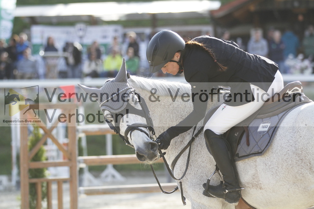 _MG_1452 | equestrian-live-com