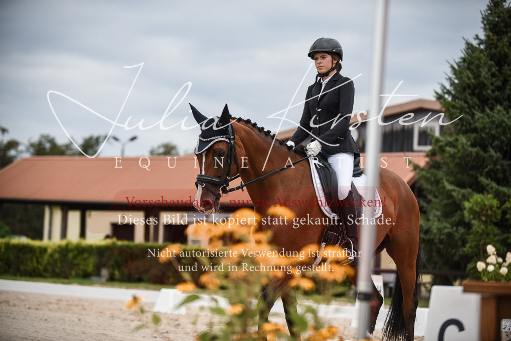 DSC_8420 | Pferde- und Turnierfotografie in Westsachsen. Pferdeportraits, Auftragszeichnungen und intuitive Kunst.