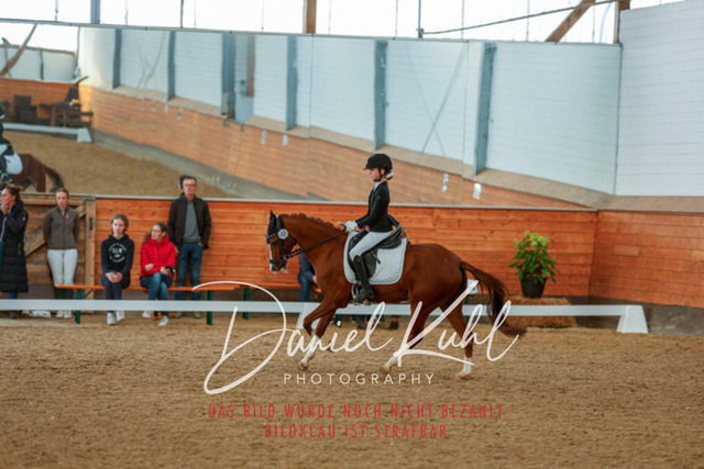 _62_8012 | Turniersportfotografie; Pferdefotografie; Dressurfotografie