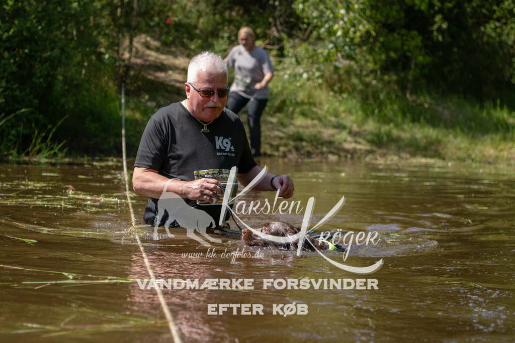 1511DKK992454 | kk-dogfotos