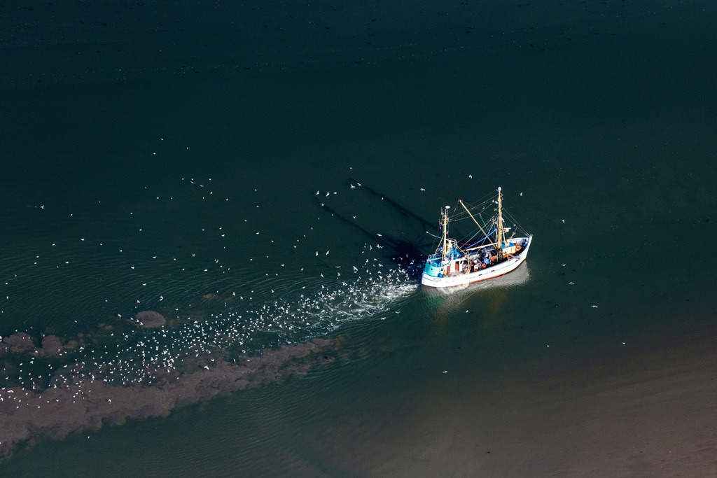 dr__0057282.jpg | NORDSTRAND 18.09.2020 Fischfang - Schiff in Fahrt auf der Nordsee in Nordstrand im Bundesland Schleswig-Holstein, Deutschland. // Fishing - ship under way of North Sea in Nordstrand in the state Schleswig-Holstein, Germany. Foto: Daniel Reiter