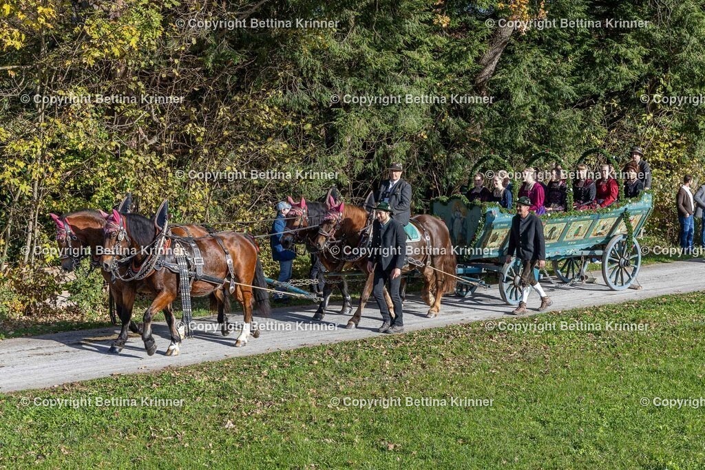 LBT24-936 | foto-bettina-krinner - Realisiert mit Pictrs.com