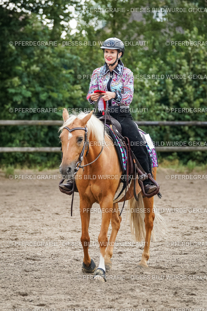 DSC04127 | Pferdegrafie