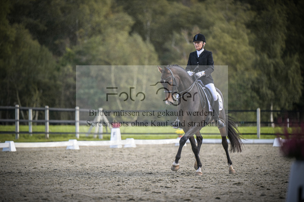 DOS_3926 | Entdecke hochwertige Reitturnierfotos von Foto Oger. Professionell, emotional und authentisch – jetzt Lieblingsmomente im Shop bestellen.Deutschlandweite Turnierfotografie. - Realisiert mit Pictrs.com