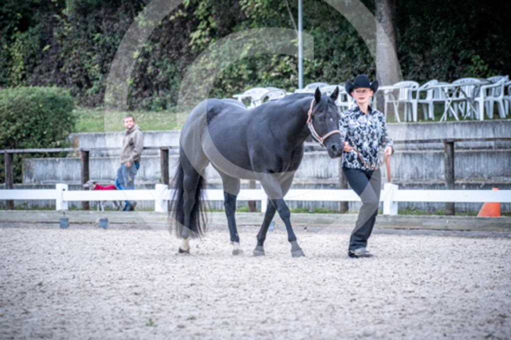HEB06569 | BS-foto