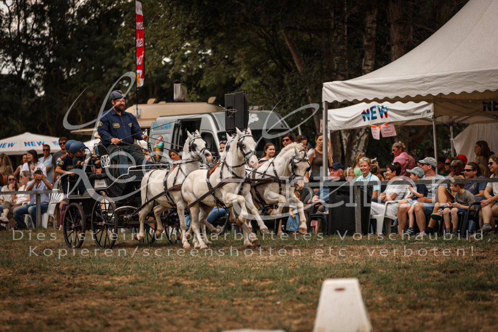 SoShow00300 | Leoni Ertmer Photography - Realisiert mit Pictrs.com