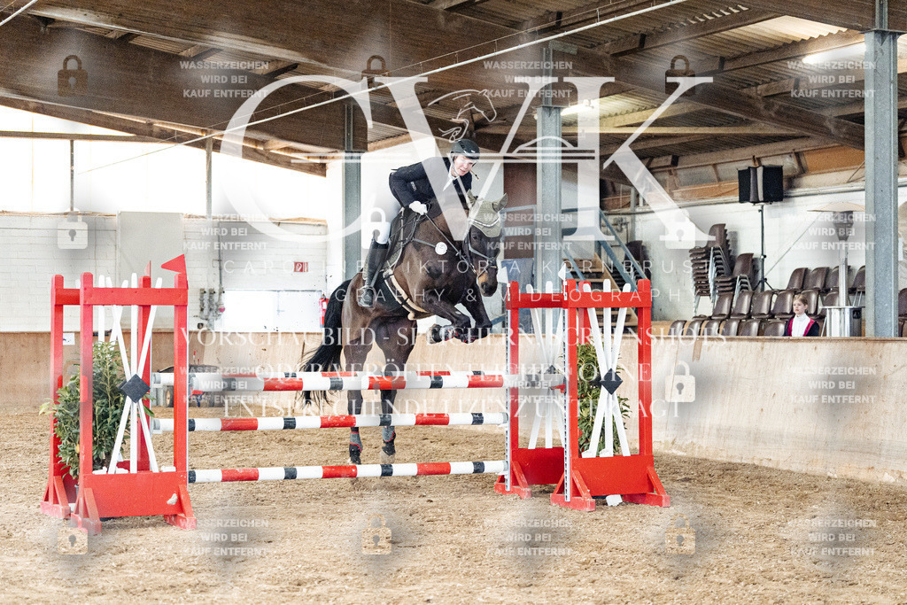 CK906198 | Turnierfotografie Pferdefotografie Trier Rheinland-Pfalz Pferdesport Reitsport Tierfotografie Sportfotografie Pferdevideo Pferdevideografie Equestrianvideography equestrianphotography  - Realisiert mit Pictrs.com