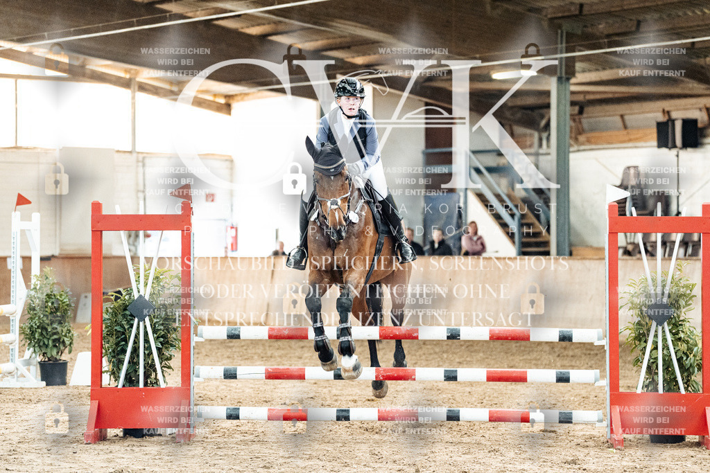 CK904660 | Turnierfotografie Pferdefotografie Trier Rheinland-Pfalz Pferdesport Reitsport Tierfotografie Sportfotografie Pferdevideo Pferdevideografie Equestrianvideography equestrianphotography  - Realized with Pictrs.com