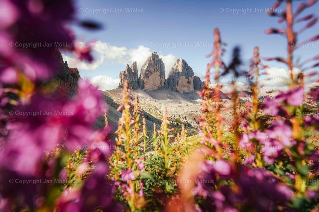 _DSC1073 | Leipzig Wandbilder Drucke Prints Leinwand Stadtmotive Leipzig Fotosdruck Kunstdrucke Bilder Leipzig Stadtansichten Acrylglasbilder Leipzig Wanddeko Fine Art Prints Wandbilder Büro Leipzig Bilder Praxis Zuhause Bilderdruck Poster Posterlounge Kunstdrucke - Realisiert mit Pictrs.com