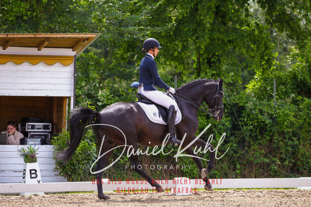 DKP41061 | Turnierfotos kaufen im Webshop von Daniel Kuhl Photography – entdecke professionelle Reitsportfotos aus Turnieren & Events. Hochwertige Turnierbilder online bestellen & sichern. Jetzt Fotos von Reitsportturnieren kaufen!