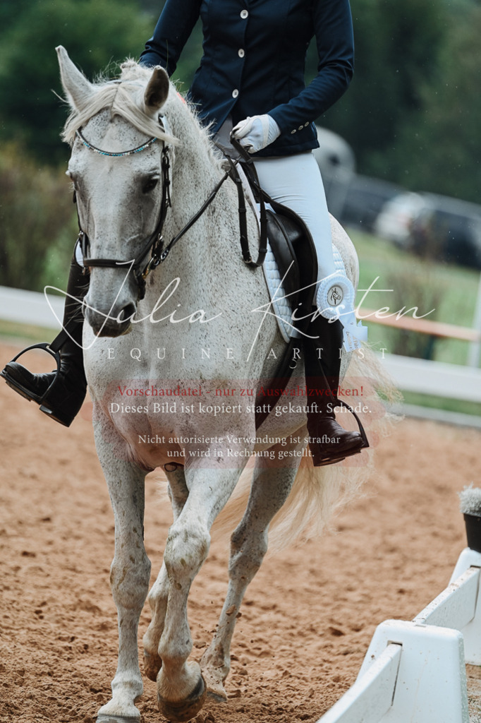 DSC_7305 | Pferde- und Turnierfotografie in Westsachsen. Pferdeportraits, Auftragszeichnungen und intuitive Kunst.