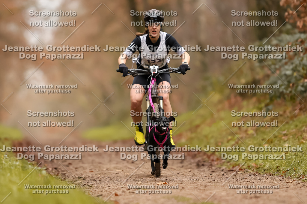 Dog Paparazzi - Speedhunter Mannheim  2025-341 | Dog Paparazzi Jeanette Grottendiek Fotografie & Videografie