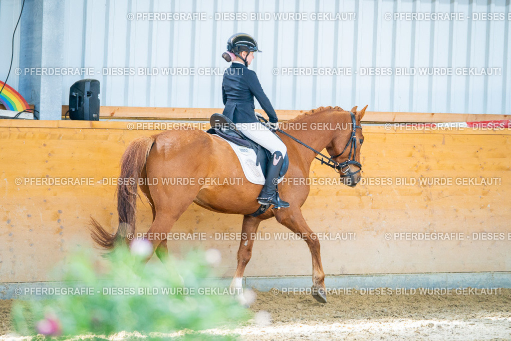 DSC08323 | Pferdegrafie