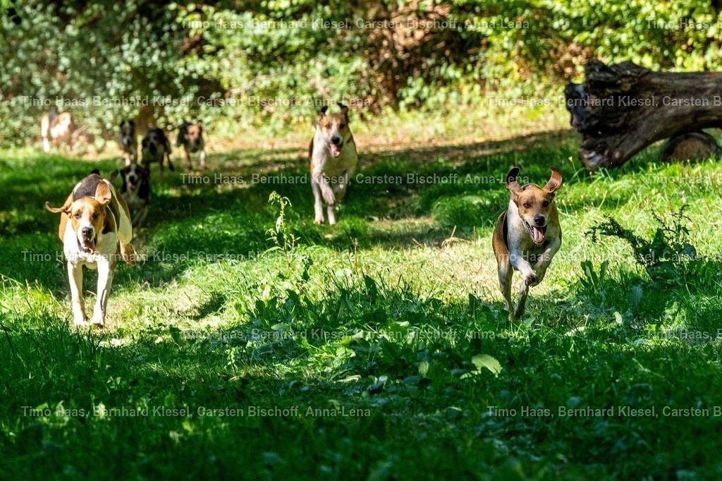 A1B09582 | foto-team-bernhard - Realisiert mit Pictrs.com