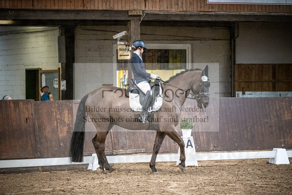 DOS_0314 | Entdecke hochwertige Reitturnierfotos von Foto Oger. Professionell, emotional und authentisch – jetzt Lieblingsmomente im Shop bestellen.Deutschlandweite Turnierfotografie. - Realisiert mit Pictrs.com