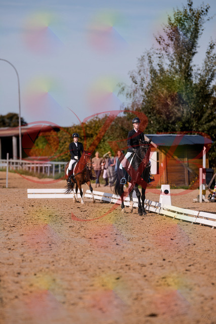 2026_10_03_Siefer-Hof_115500_Z81_94841626 | Professionelle Reitsport-, Turnier- und Eventfotografie von Robert Broda. Galerien mit ausgewählten und bearbeiteten Bildern direkt online ansehen und bestellen.