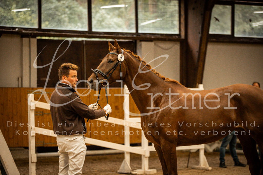 1FS_L00078 | Leoni Ertmer Photography - Realisiert mit Pictrs.com