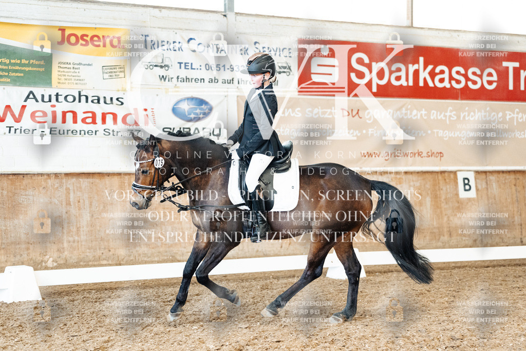 CK900033 | Turnierfotografie Pferdefotografie Trier Rheinland-Pfalz Pferdesport Reitsport Tierfotografie Sportfotografie Pferdevideo Pferdevideografie Equestrianvideography equestrianphotography  - Realized with Pictrs.com