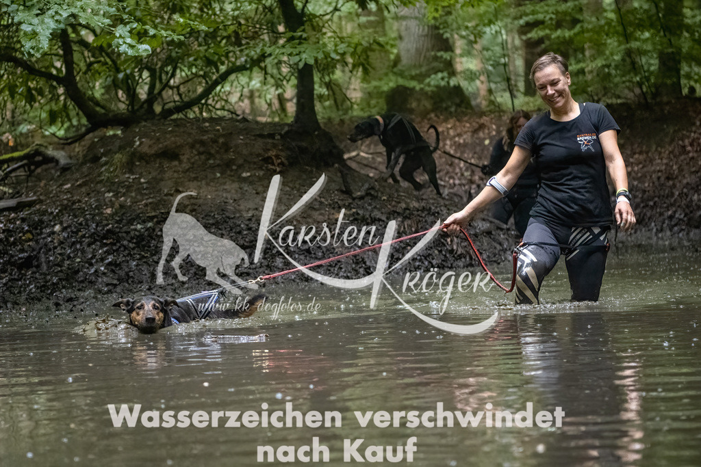 1147_ZZ91778-Bearbeitet-2 | kk-dogfotos