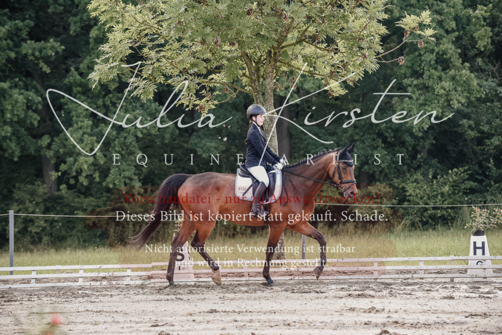 DSC_8027 | Pferde- und Turnierfotografie in Westsachsen. Pferdeportraits, Auftragszeichnungen und intuitive Kunst.