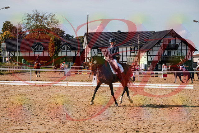 2026_10_03_Siefer-Hof_125538_Z63_62338433 | Professionelle Reitsport-, Turnier- und Eventfotografie von Robert Broda. Galerien mit ausgewählten und bearbeiteten Bildern direkt online ansehen und bestellen.