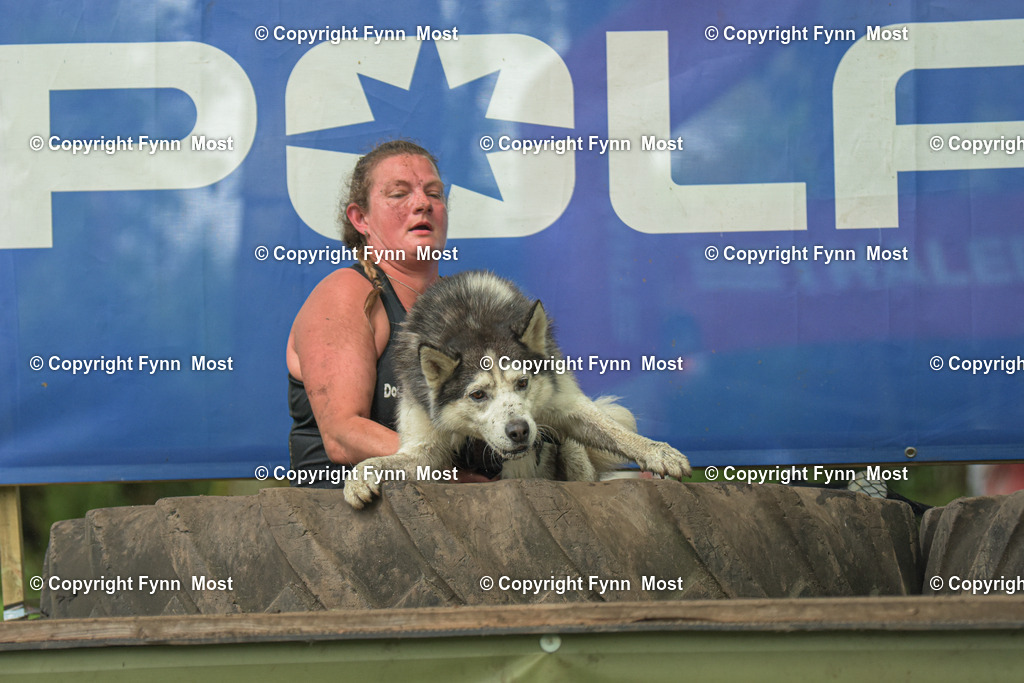 DSC_0109 | Hallo und herzlich Willkommen auf meiner Shop-Seite Fynn Most.

Ich wünsche Dir viel Spaß beim stöbern durch die Bilder, wenn Du Fragen hast oder Bilder vermisst, kannst du mir gerne eine Nachricht schreiben. - Realisiert mit Pictrs.com
