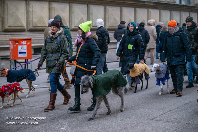 Galgomarsch2026-250 | Augenblicke kommen und gehen, Erinnerungen bleiben. Als Tierfotografin schaffe ich liebevolle Erinnerungen an unsere tierischen Familienmitglieder, ohne Stress und Druck.
Buchbar für den Raum München und Landkreis Dachau  - Realisiert mit Pictrs.com