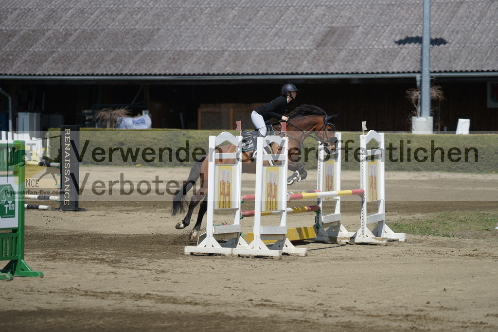 DSC02844 | equestrian-live-com