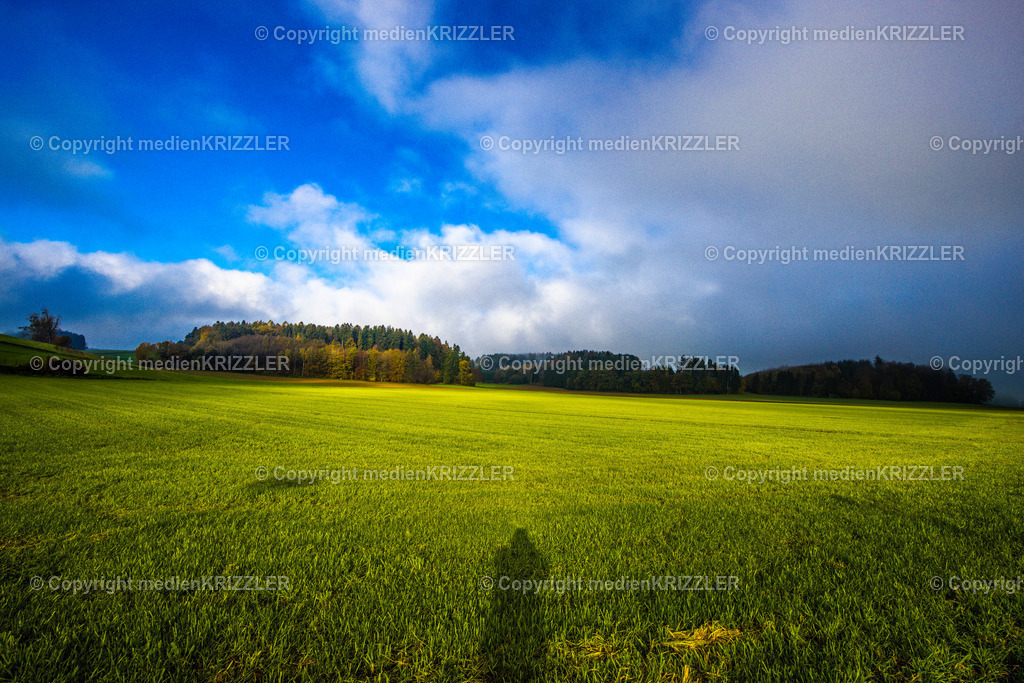 _J3A8999 | medienkrizzler - Realisiert mit Pictrs.com