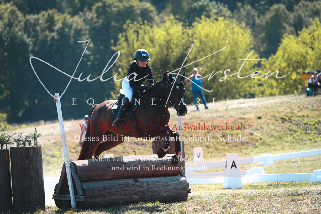 DSC_8375 | Pferde- und Turnierfotografie in Westsachsen. Pferdeportraits, Auftragszeichnungen und intuitive Kunst.