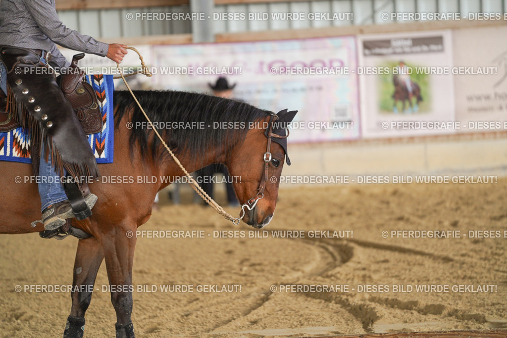 DSC02090 | Pferdegrafie