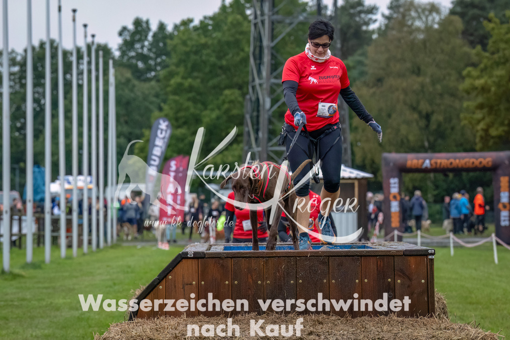 1209--11 | kk-dogfotos