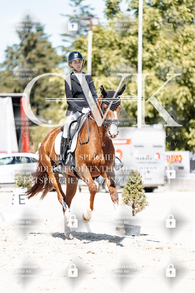 CK900518 | Turnierfotografie Pferdefotografie Trier Rheinland-Pfalz Pferdesport Reitsport Tierfotografie Sportfotografie Pferdevideo Pferdevideografie Equestrianvideography equestrianphotography  - Realisiert mit Pictrs.com