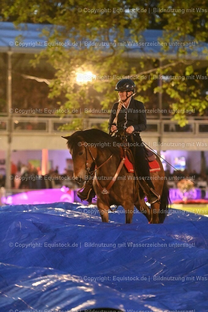 20230526_Pferdenacht_1009 | equistock