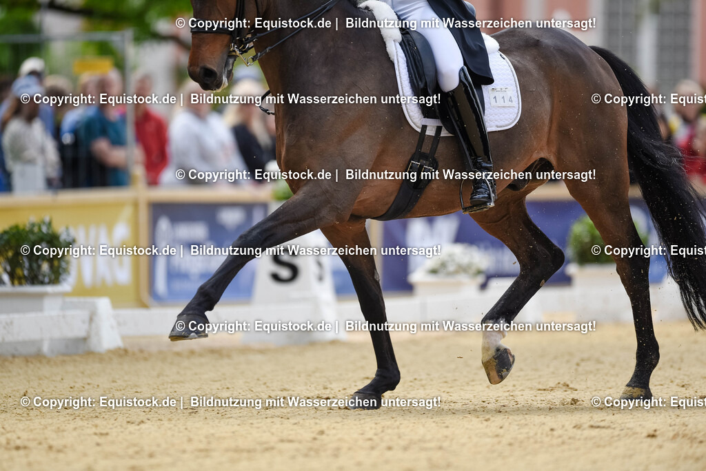 20250607_1_GP-Tour_Dressage_0091 | Foto: Thomas Hartig