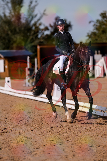 2026_10_03_Siefer-Hof_115802_Z81_99742116 | Professionelle Reitsport-, Turnier- und Eventfotografie von Robert Broda. Galerien mit ausgewählten und bearbeiteten Bildern direkt online ansehen und bestellen.