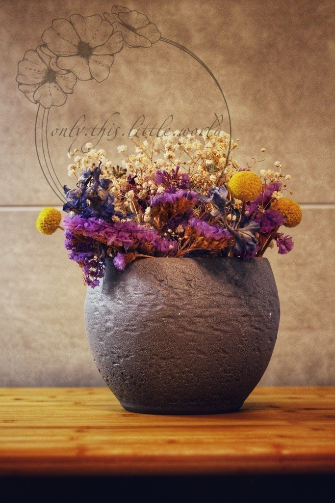 IMG_8390-01 | only.this.little.world - Realisiert mit Pictrs.com