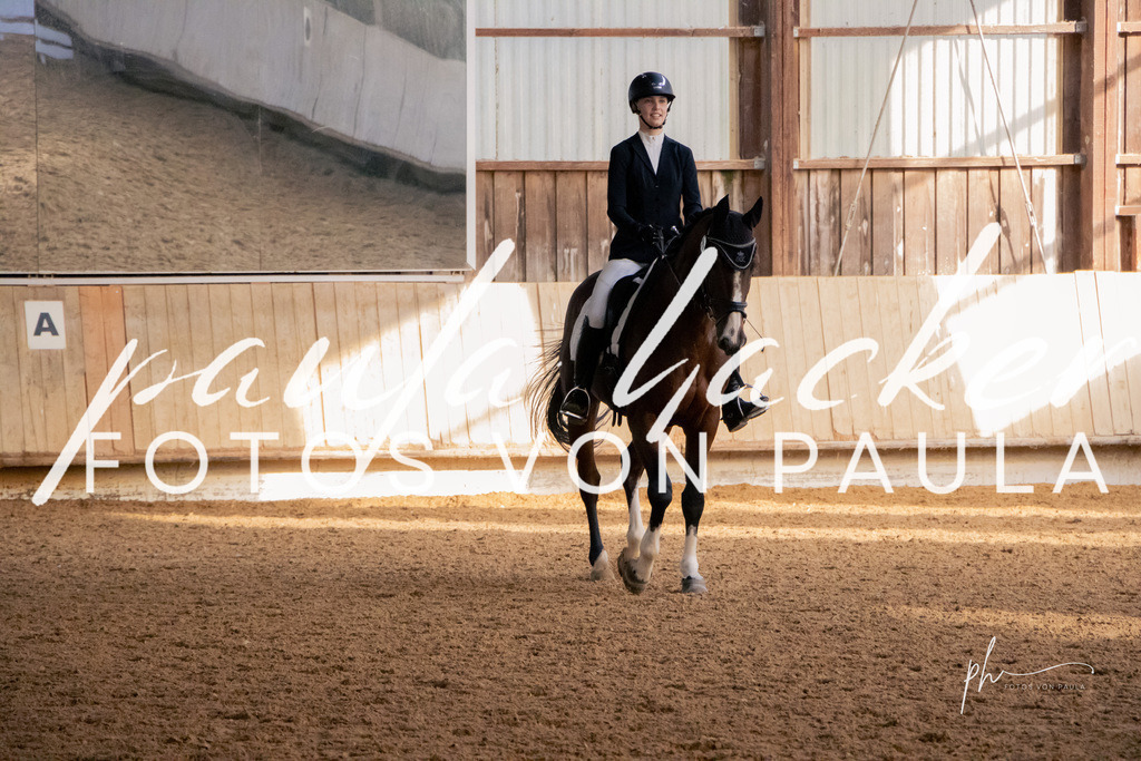 IMG_3071 | Erleben Sie dynamische Sport- und emotionale Tierfotografie in Süddeutschland mit Fotos von Paula. Spezialisiert auf Pferde- und Hundefotografie sowie Sportevents. Kontaktieren Sie mich für einzigartige und ausdrucksstarke Bilder Ihrer besonderen Momente. - Realisiert mit Pictrs.com