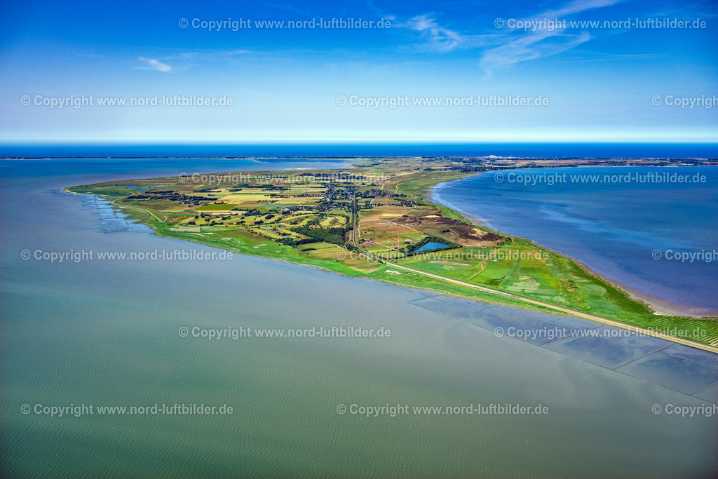 Sylt_Morsum_bis_Westküste_ELS_3856210625 | MORSUM 21.06.2025 Sylt- Insel Ortsansicht an der Meeres-Küste der Nordsee in Morsum im Bundesland Schleswig-Holstein. // Townscape on the seacoast of North Sea in Morsum in the state Schleswig-Holstein. Foto: Martin Elsen