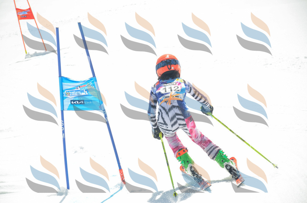 _ELE5921 | holidayphoto